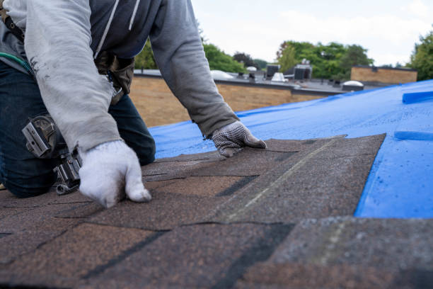 Quick and Trustworthy Emergency Roof Repair Services in Bayboro, NC